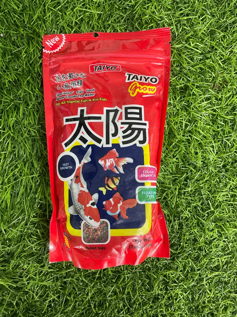 Tayo Food