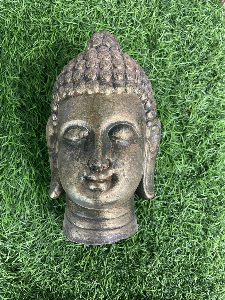 Buddha Head